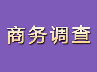 富锦商务调查